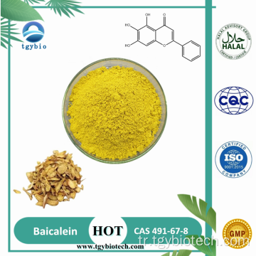 Doğal scutellaria baicalensis özü% 98 baicalein